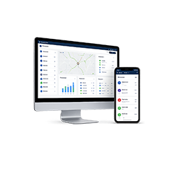 Insights & Alerts